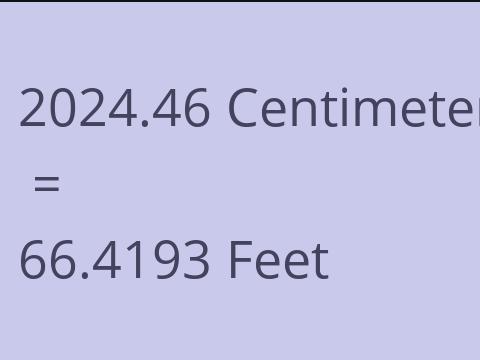 2024.46 CM TO FEET