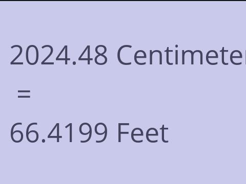 2024.48 CM TO FEET