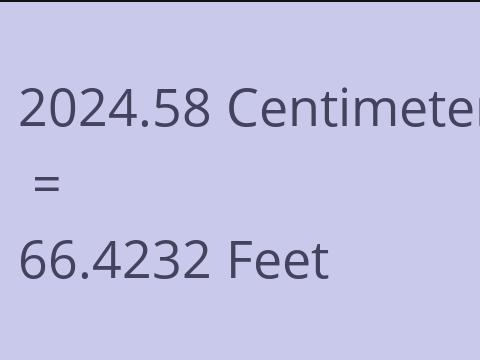 2024.58 CM TO FEET