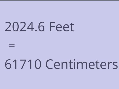 2024.6 FEET TO CM