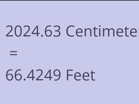 2024.63 CM TO FEET