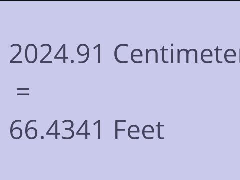 2024.91 CM TO FEET