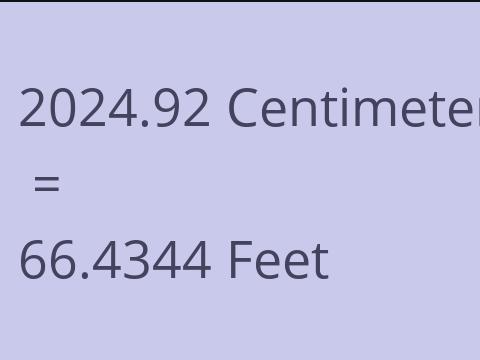 2024.92 CM TO FEET