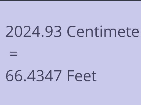 2024.93 CM TO FEET