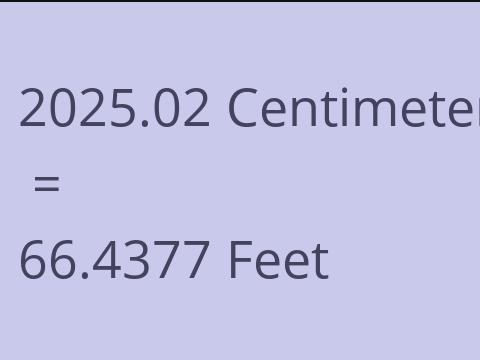 2025.02 CM TO FEET