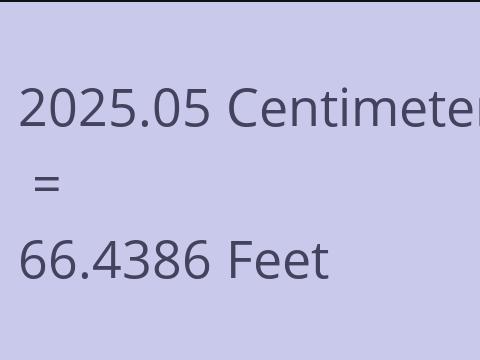 2025.05 CM TO FEET