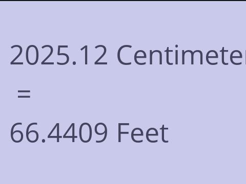 2025.12 CM TO FEET