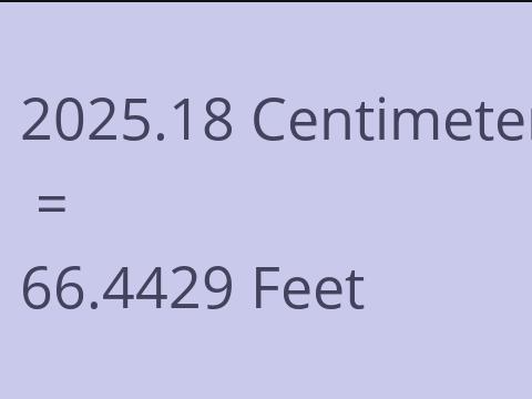 2025.18 CM TO FEET