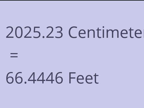 2025.23 CM TO FEET