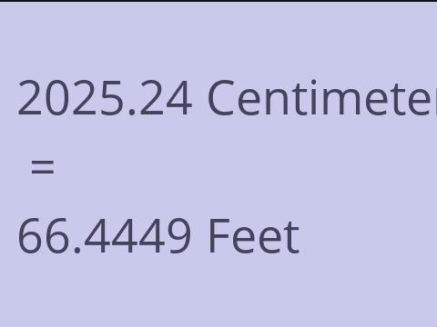 2025.24 CM TO FEET