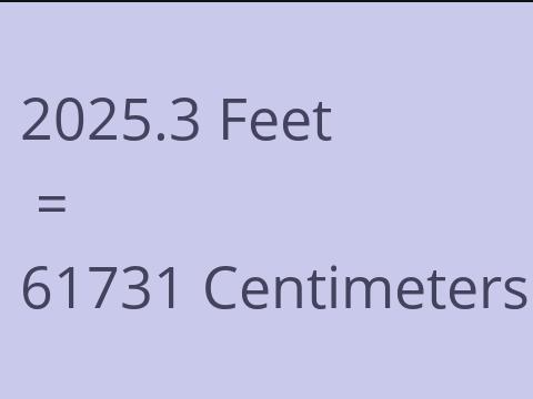 2025.3 FEET TO CM