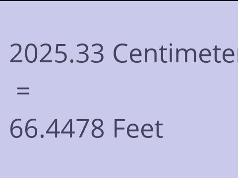 2025.33 CM TO FEET