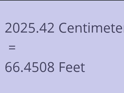 2025.42 CM TO FEET