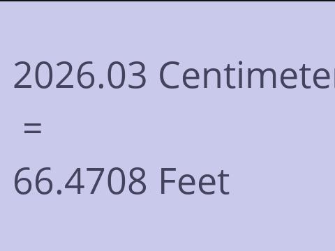 2026.03 CM TO FEET