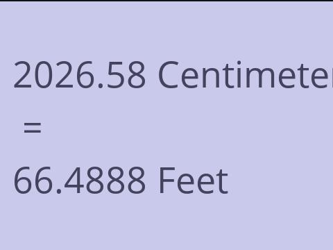2026.58 CM TO FEET