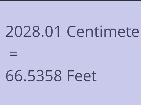 2028.01 CM TO FEET