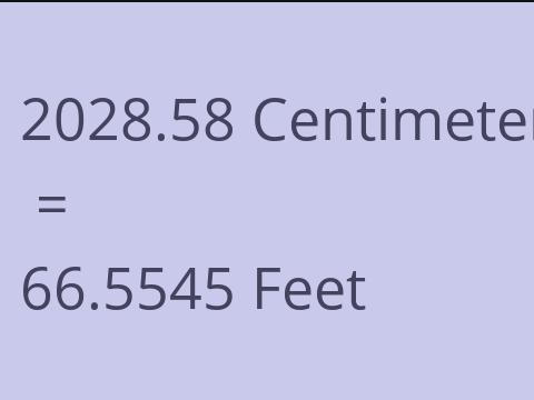 2028.58 CM TO FEET