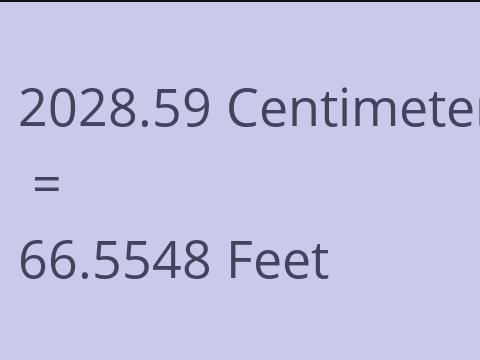 2028.59 CM TO FEET