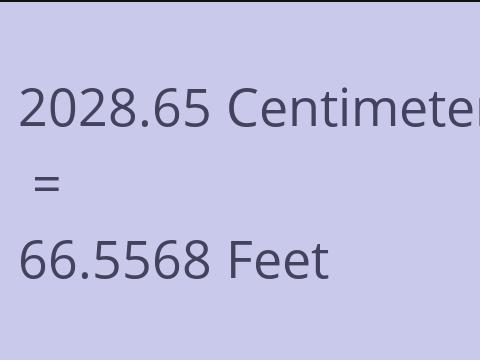 2028.65 CM TO FEET