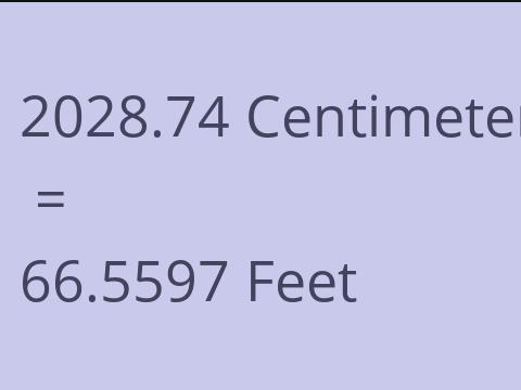 2028.74 CM TO FEET