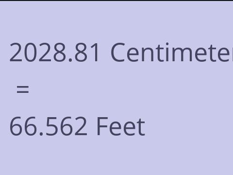 2028.81 CM TO FEET