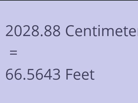 2028.88 CM TO FEET