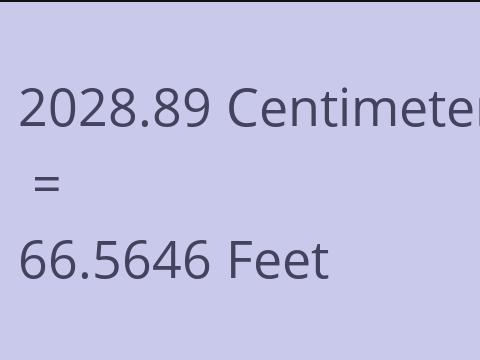 2028.89 CM TO FEET