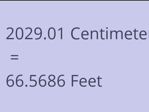 2029.01 CM TO FEET