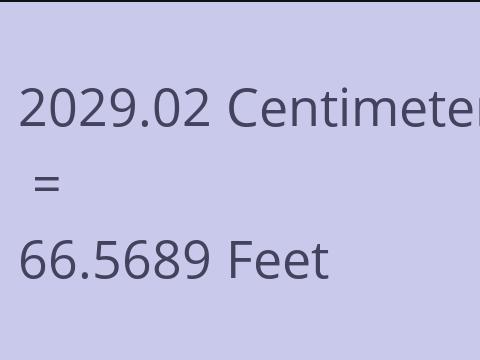 2029.02 CM TO FEET