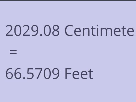 2029.08 CM TO FEET