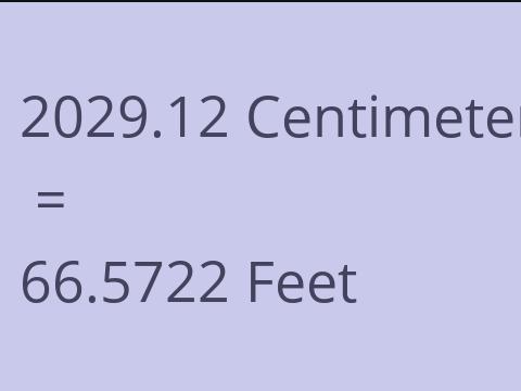 2029.12 CM TO FEET