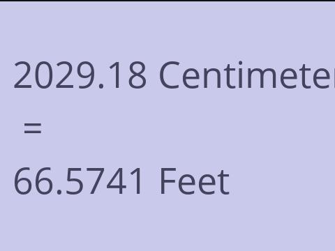 2029.18 CM TO FEET
