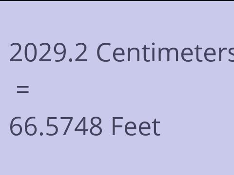 2029.2 CM TO FEET