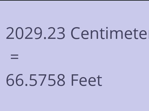 2029.23 CM TO FEET