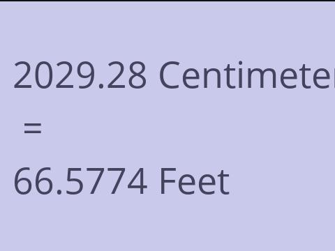 2029.28 CM TO FEET