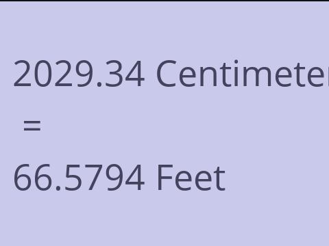 2029.34 CM TO FEET