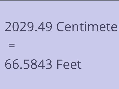 2029.49 CM TO FEET