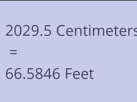 2029.5 CM TO FEET