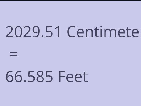 2029.51 CM TO FEET