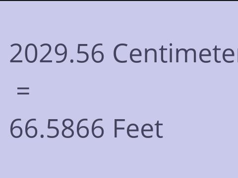 2029.56 CM TO FEET