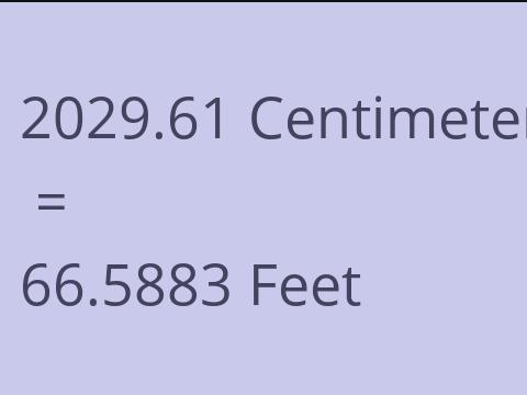 2029.61 CM TO FEET