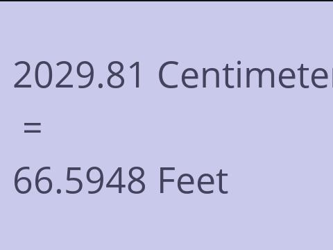 2029.81 CM TO FEET