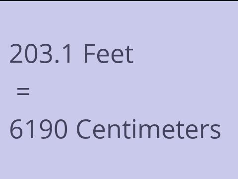 203.1 FEET TO CM