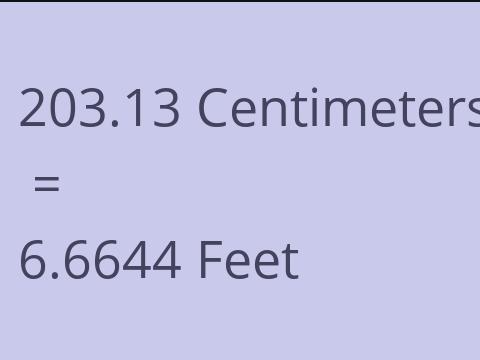 203.13 CM TO FEET