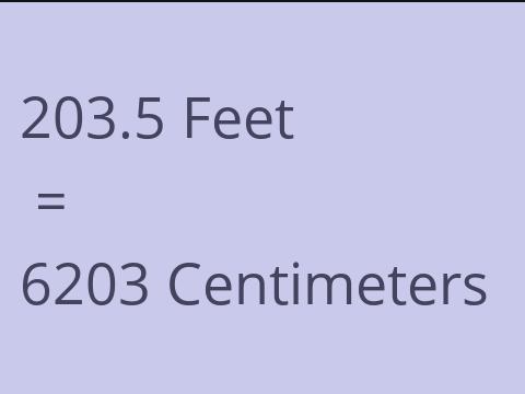 203.5 FEET TO CM