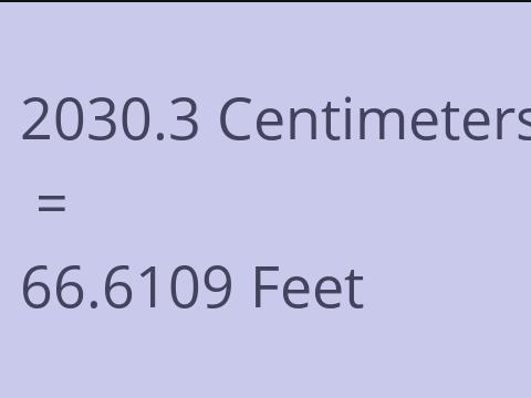 2030.3 CM TO FEET