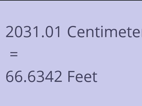 2031.01 CM TO FEET