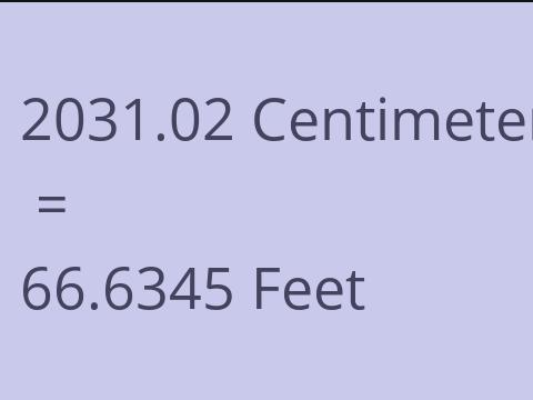 2031.02 CM TO FEET