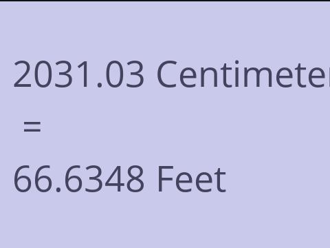 2031.03 CM TO FEET