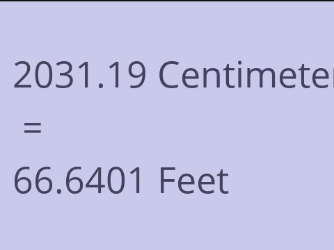 2031.19 CM TO FEET